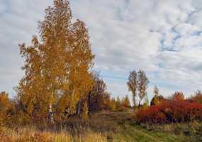 В Нижнекамске +4 градуса, вероятны осадки, но потеплеет