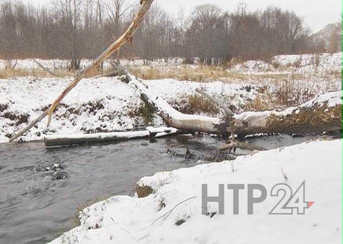 В Нижнекамске так и не назвали причины, по которой река Тунгуча побелела и покрылась пеной