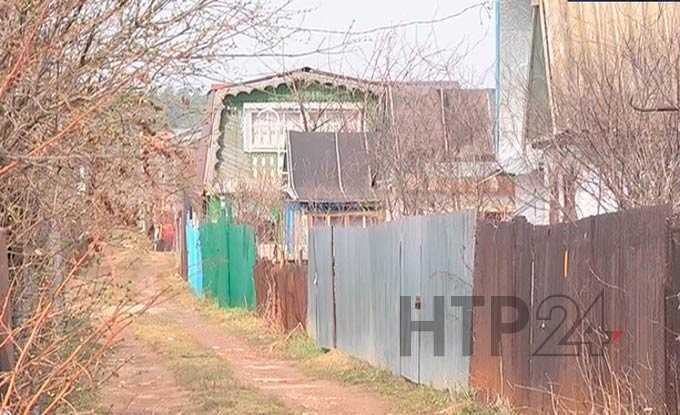 В Нижнекамске судят преступную группу, промышлявшую кражами в садах-огородах