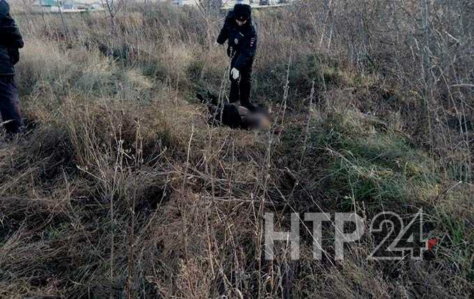 В Нижнекамске пропавший мужчина найден мертвым