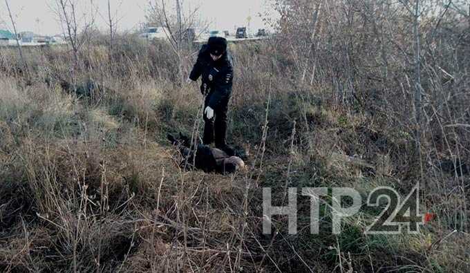 Судмедэксперты назвали причину смерти жителя Нижнекамска, поиски которого велись почти две недели