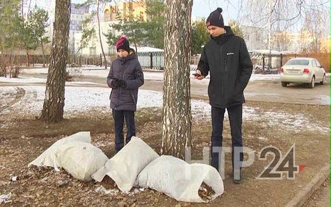 Школьники из Нижнекамска сделали более 3 тыс фотографий несанкционированных свалок