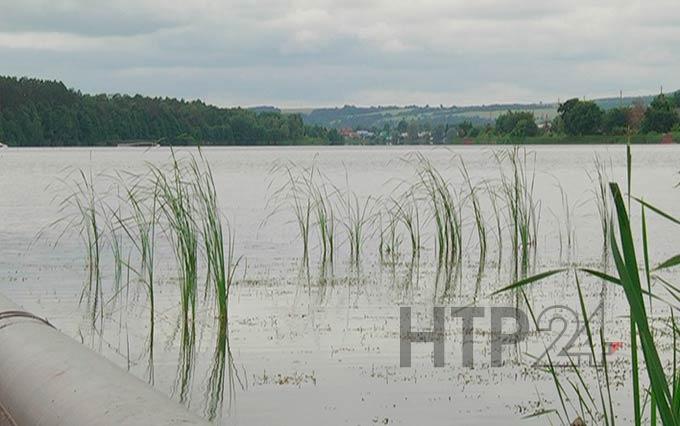 В 2020 году в Нижнекамске стартует серия масштабных экопроектов