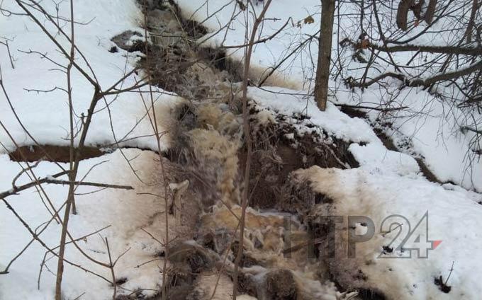 Каскад водопадов появился в пригородном лесу Нижнекамска