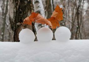 Школьницы наелись снега с приправой и заболели