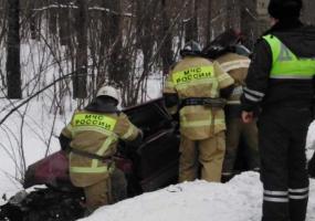 В Нижнекамском районе автомобиль вылетел в кювет и врезался в дерево