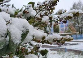 Нижнекамцев ждут ночной мороз и утренний туман