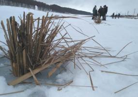 На озере Каракуль под Нижнекамском пробурили 200 лунок, чтобы спасти рыбу