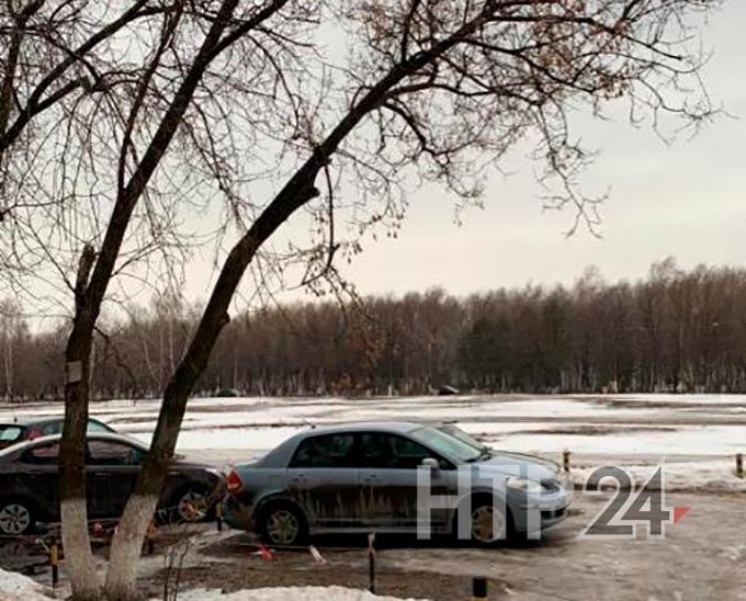 Ветки падают на голову и машины: нижнекамцы жалуются на аварийные деревья