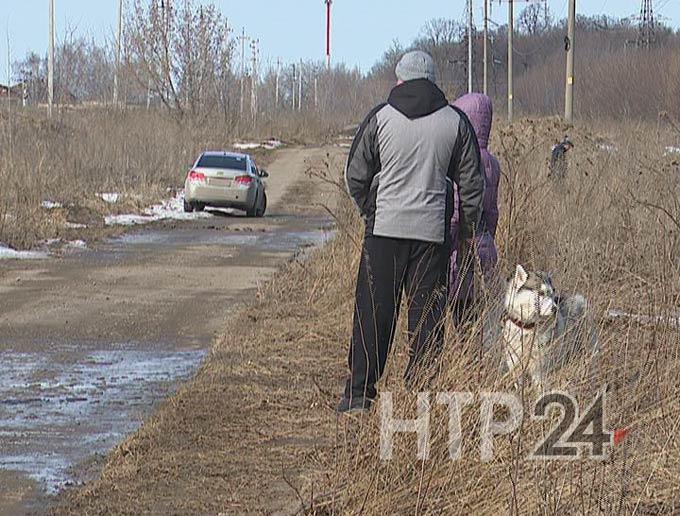 Эксперты рассказали, когда был убит мужчина, чью голову нашли у лесопосадки в Нижнекамске