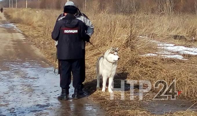 Следователи просят у нижнекамцев помощи в опознании мужчины, чью голову нашли у лесополосы