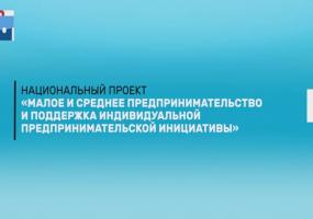 «Малое и среднее предпринимательство и поддержка индивидуальной предпринимательской инициативы»