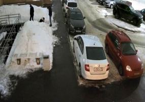 Нижнекамцы высмеяли молодых людей, перерывших сугроб в поисках закладки