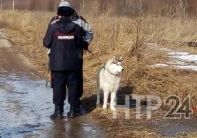 Следователи просят у нижнекамцев помощи в опознании мужчины, чью голову нашли у лесополосы