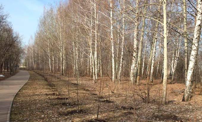 В четверг в Нижнекамске ожидается усиление ветра до 18 м/с