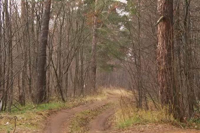 С 6 апреля в Татарстане открывается пожароопасный сезон