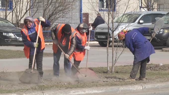 В Нижнекамске отказались от побелки бордюров и деревьев