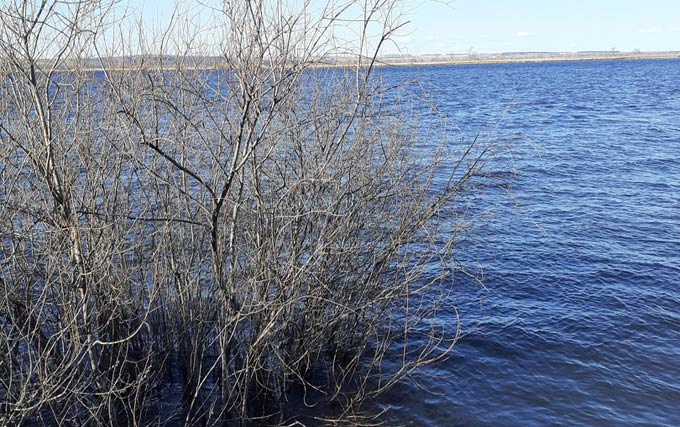 В субботу в Нижнекамске будет облачно и ветрено