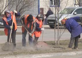 В Нижнекамске отказались от побелки бордюров и деревьев