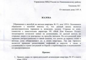 Камполянцы опасаются заразиться коронавирусом от тараканов, которых развели соседи