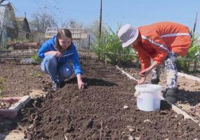 В Нижнекамске открылся дачный сезон