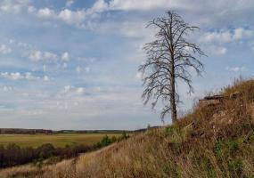 В Татарстане ожидается усиление ветра