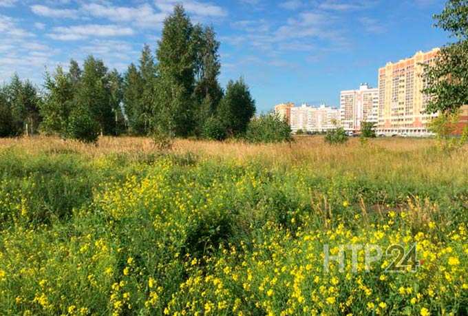 НТР стал одним из победителей конкурса «Эковесна»