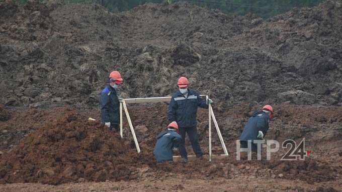 В Нижнекамском районе строится мясозабойный цех