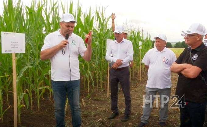 Нижнекамские агрономы узнали секреты получения хорошего урожая