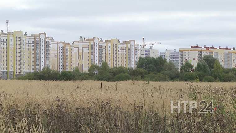 Стала известна причина смерти пропавшего в Нижнекамске пожилого мужчины