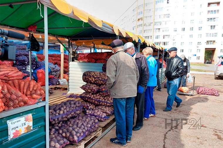 В Нижнекамске заработали сезонные сельскохозяйственные ярмарки