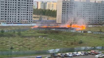 В Нижнекамске возле новостроек загорелось поле