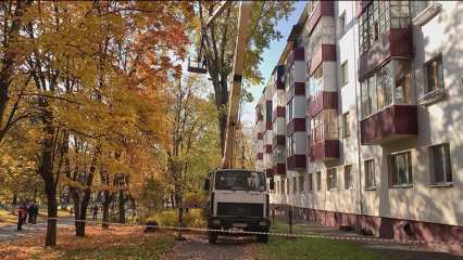 В Нижнекамске срубили полувековой тополь