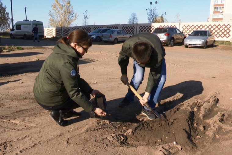 Нижнекамские экологи проверили лужу, около которой гибнут голуби