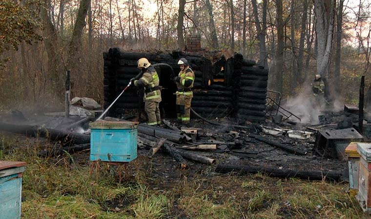 В Нижнекамском районе сгорел дотла домик на пасеке