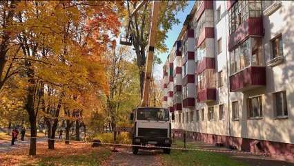 Санитарную обрезку деревьев проводят в Нижнекамске