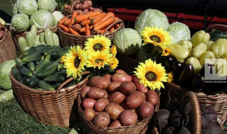 Фермеры Татарстана получат гранты за победу в конкурсе «Вкусы России»