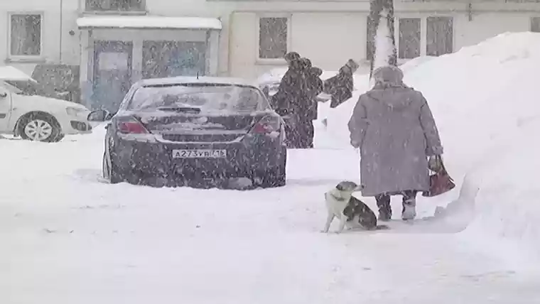 С 1 декабря вступают в силу новые указы и постановления. Изменения затронут все слои общества