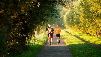 Нижнекамск присоединится к движению parkrun