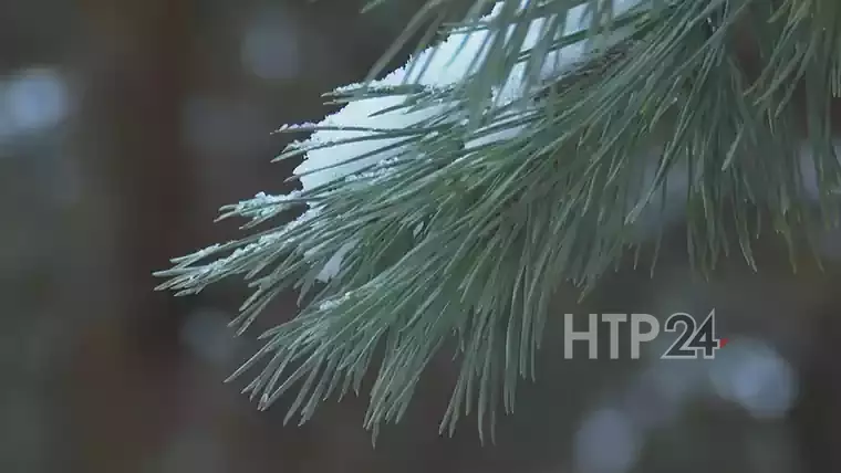 В Нижнекамске ожидаются туман, ветер и гололедица