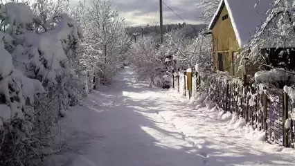 Нижнекамцы возмущаются двойной оплатой за вывоз мусора