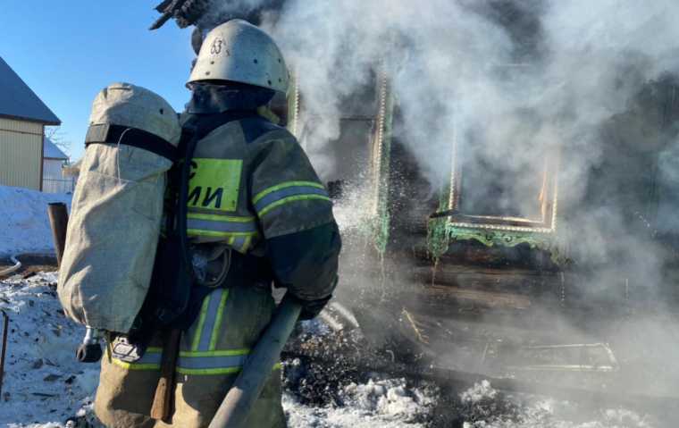 В Татарстане во время пожара погибли 18 свиней