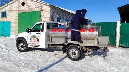 У населения Нижнекамского района начали собирать молоко