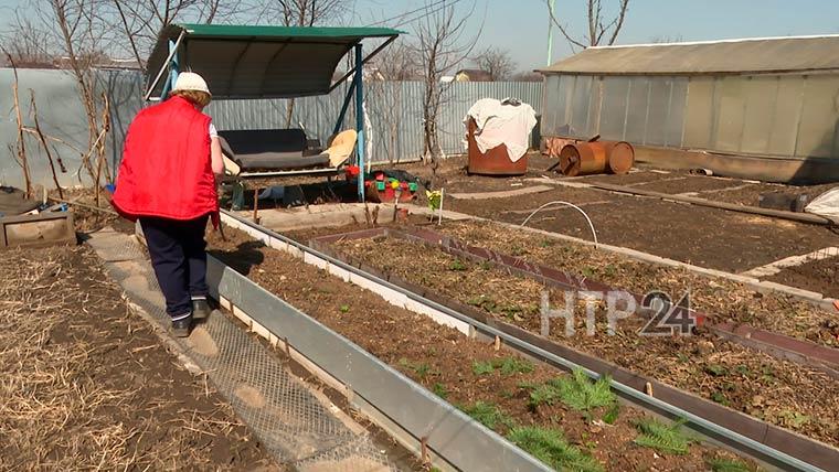 В Нижнекамске начался дачный сезон, но автобусы ещё не ходят