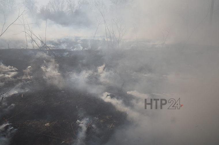 В Нижнекамске рядом с жилыми домами горит поле