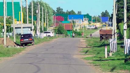 В Нижнекамском районе установлен карантин по бешенству