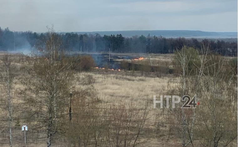 В Нижнекамске вновь загорелось поле