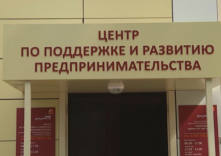 В Нижнекамске организуют прямой эфир с начальником отдела по поддержке и развитию предпринимательства