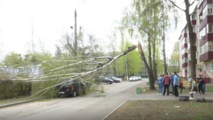 В Нижнекамске дерево упало на машину, припаркованную во дворе дома