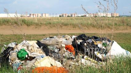 В Нижнекамске напротив Корабельной рощи горожане устроили свалку